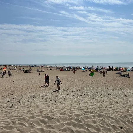 Holiday Home Rusthoeve 28 By Interhome Holiday home *