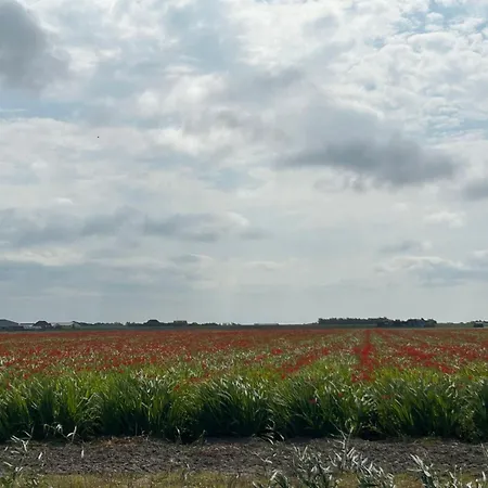 Rusthoeve 28 By Interhome